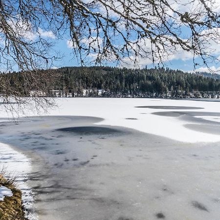 Ferienwohnung Am Schwellenweiher Feldberg  Εξωτερικό φωτογραφία