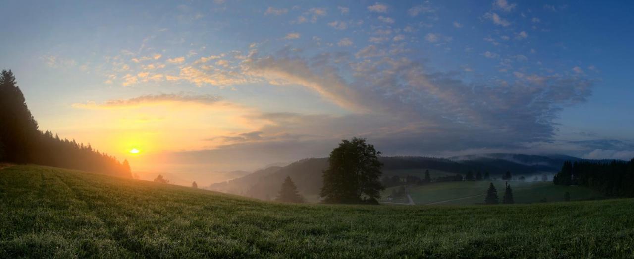 Ferienwohnung Am Schwellenweiher Feldberg  Εξωτερικό φωτογραφία