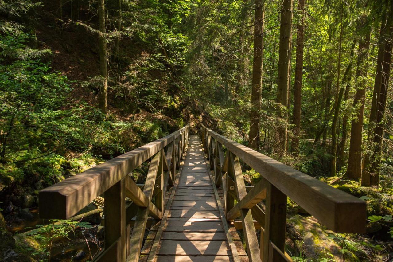 Ferienwohnung Am Schwellenweiher Feldberg  Εξωτερικό φωτογραφία