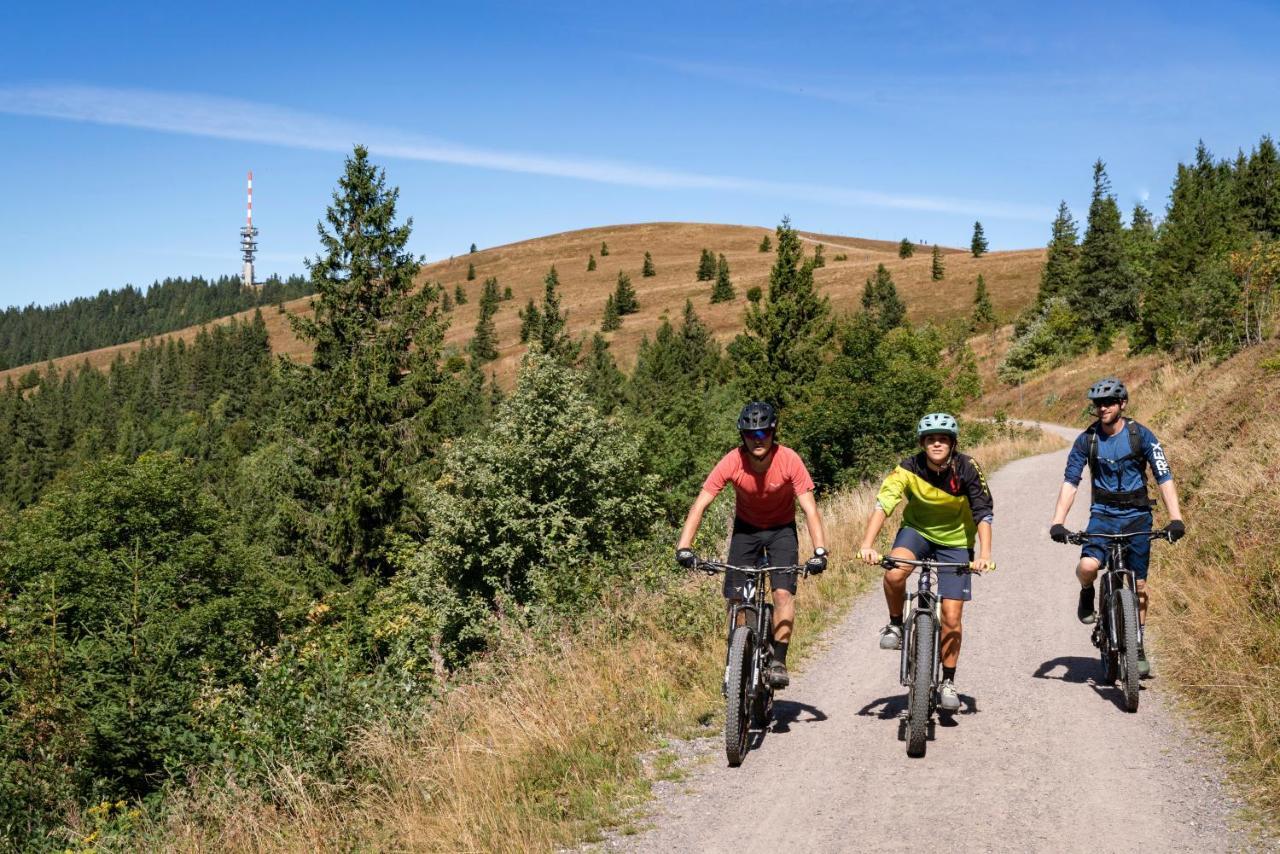Ferienwohnung Am Schwellenweiher Feldberg  Εξωτερικό φωτογραφία