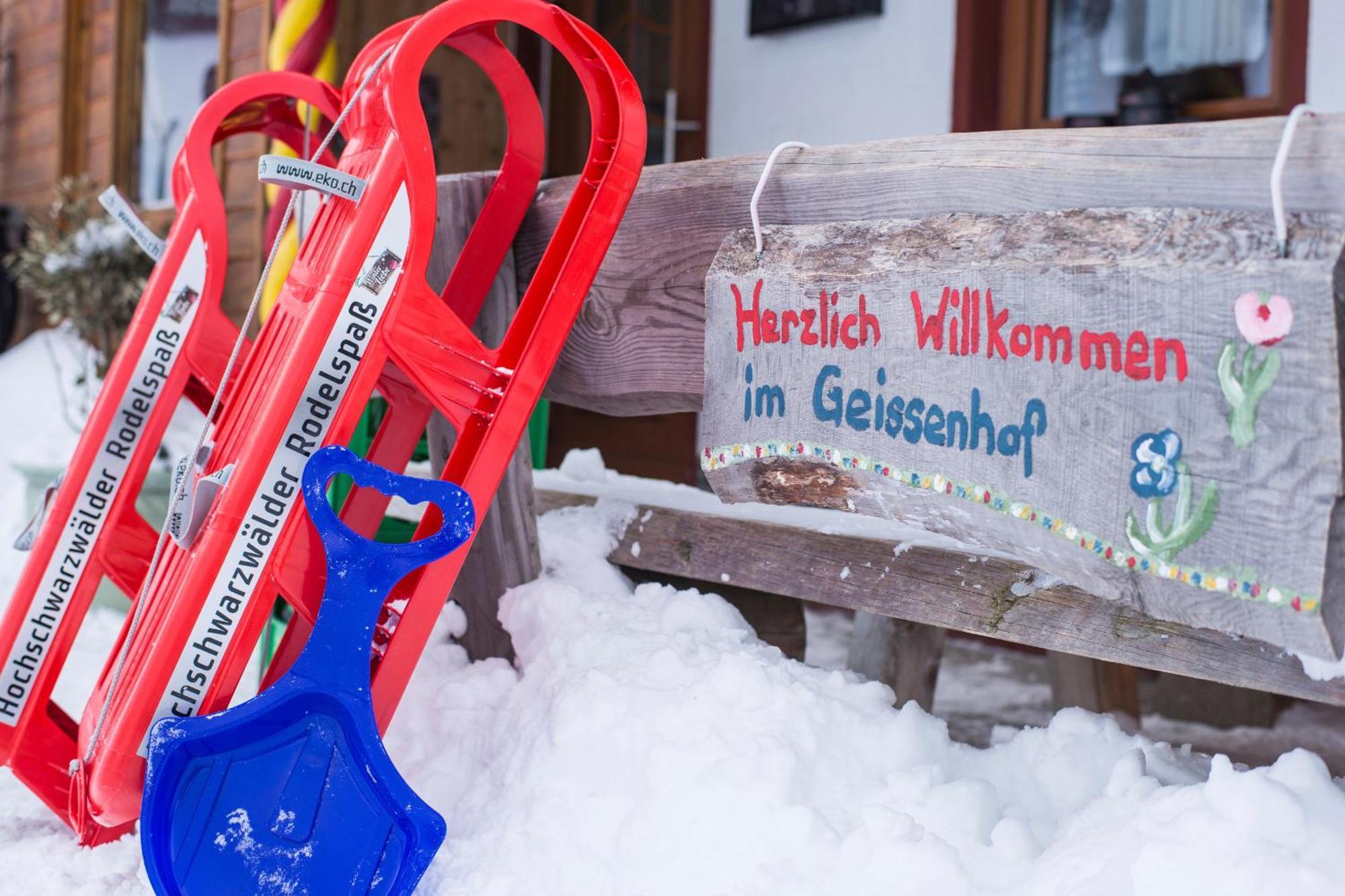 Ferienwohnung Am Schwellenweiher Feldberg  Εξωτερικό φωτογραφία