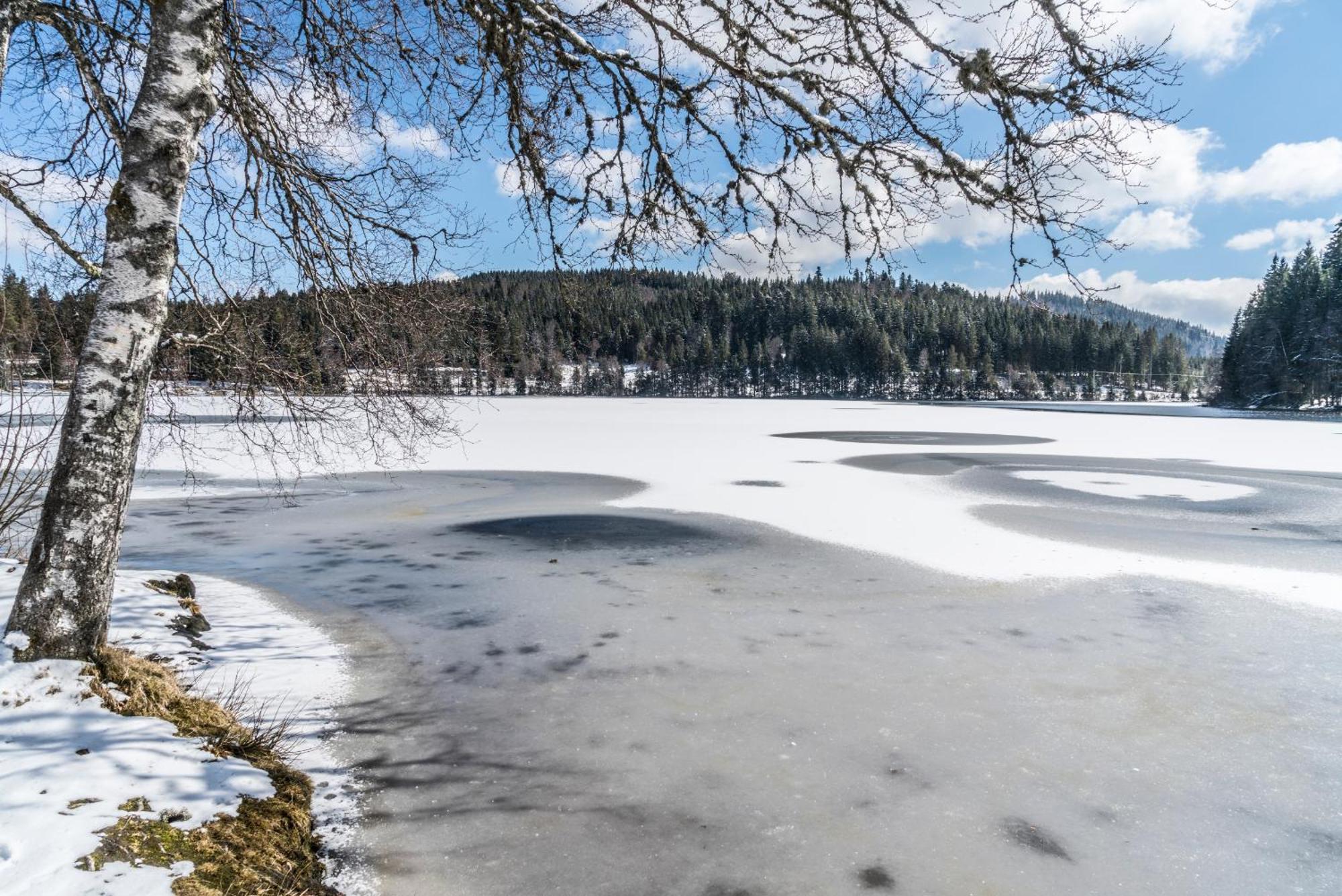 Ferienwohnung Am Schwellenweiher Feldberg  Εξωτερικό φωτογραφία