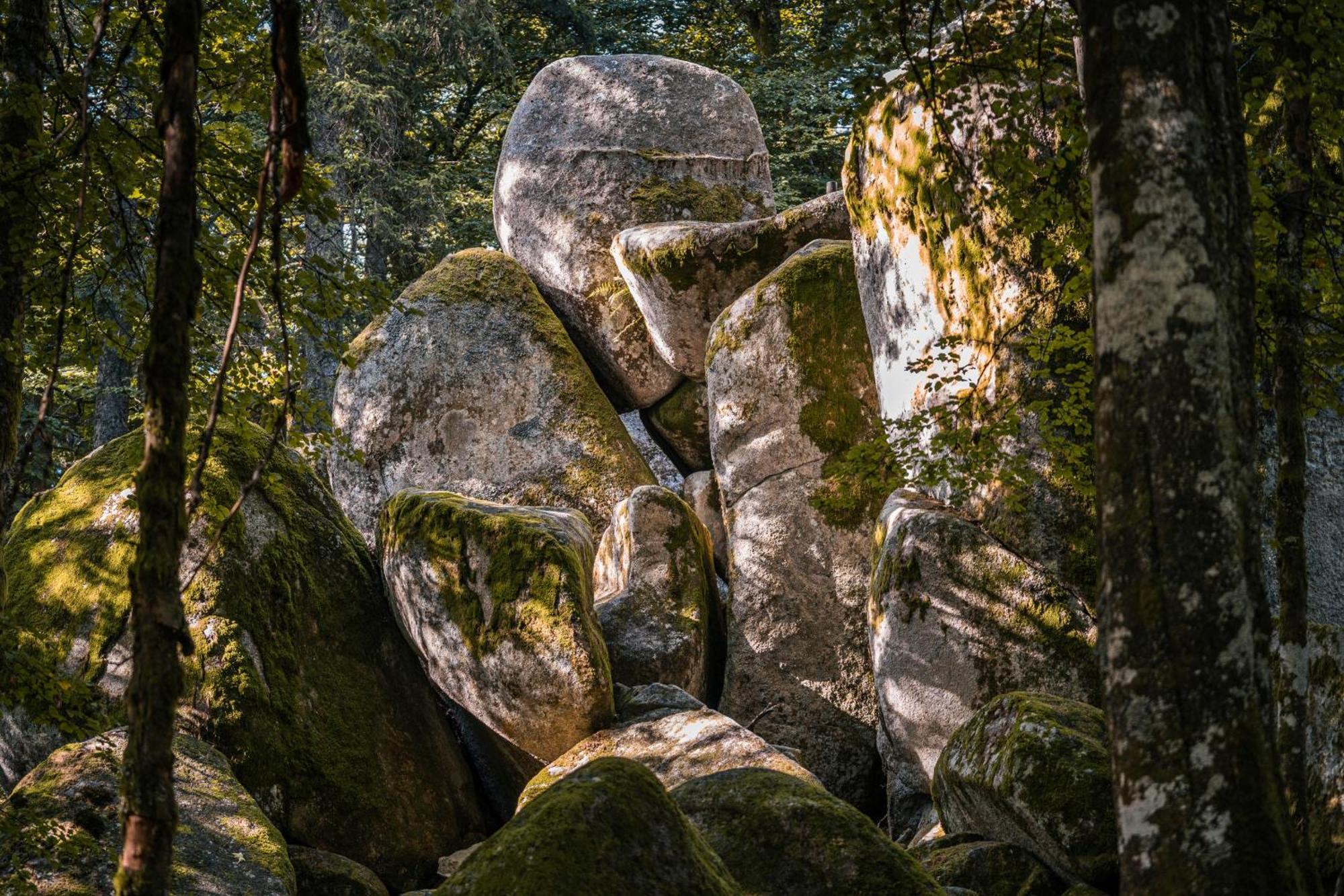 Ferienwohnung Am Schwellenweiher Feldberg  Εξωτερικό φωτογραφία