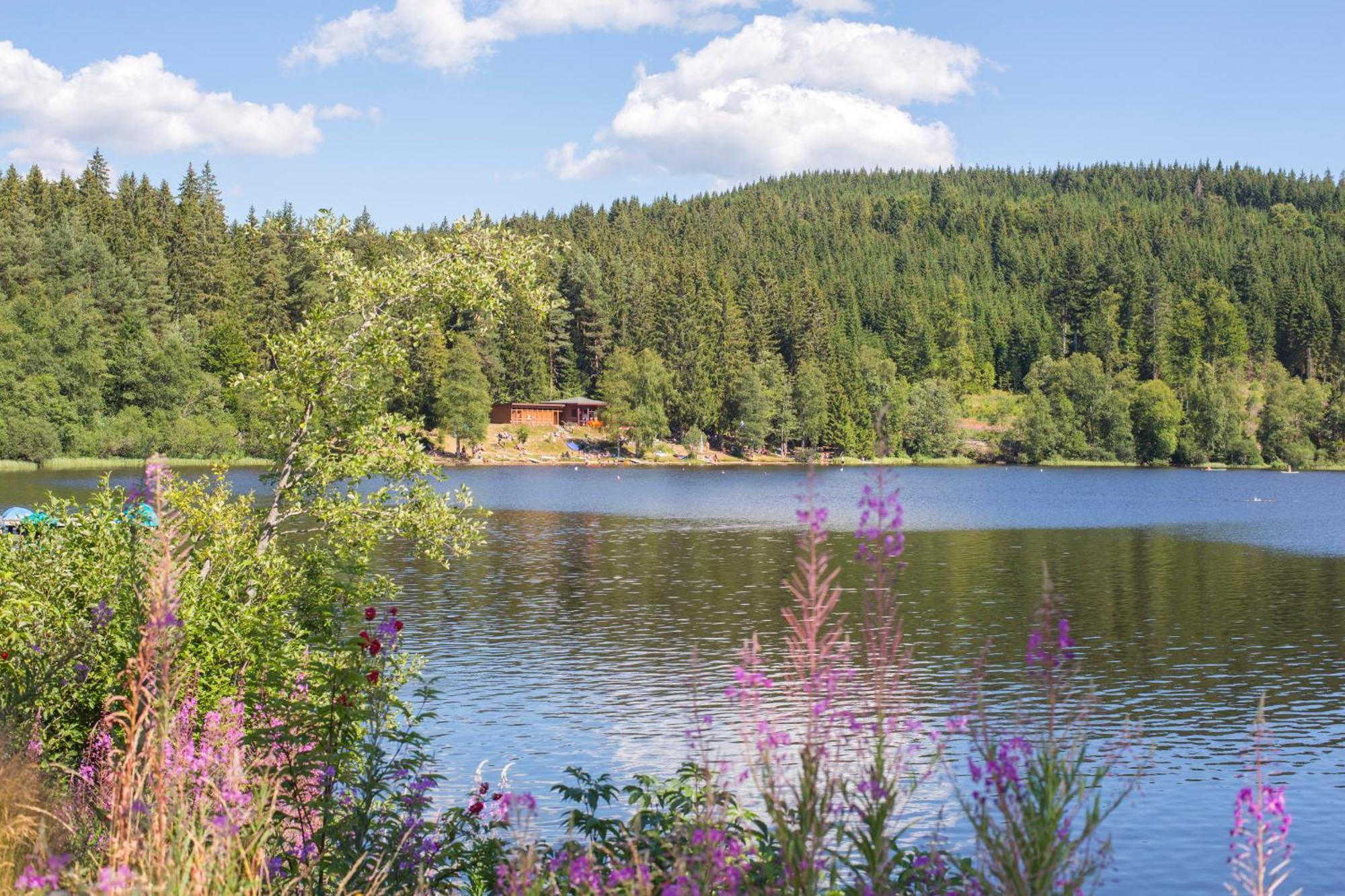 Ferienwohnung Am Schwellenweiher Feldberg  Εξωτερικό φωτογραφία