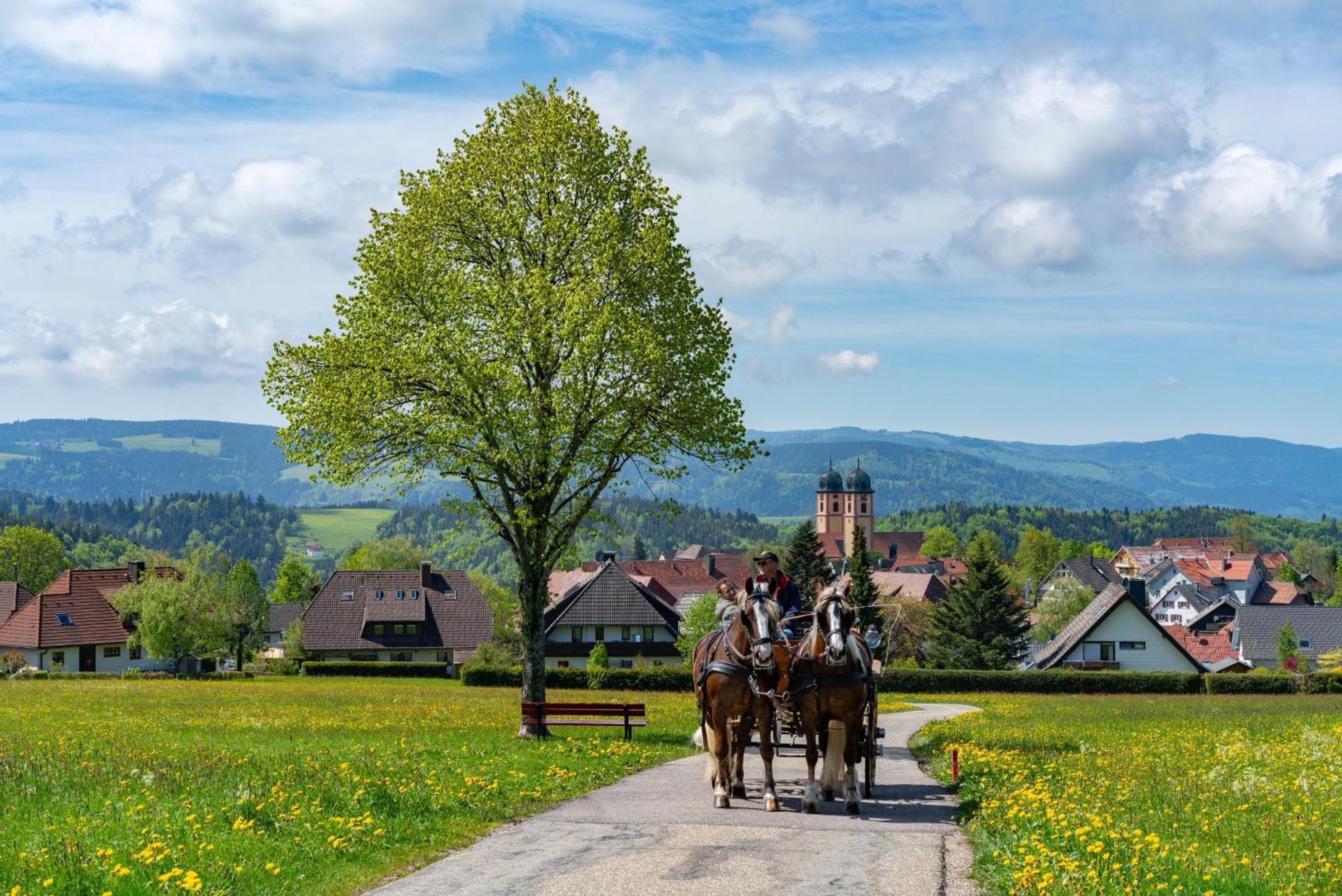 Ferienwohnung Am Schwellenweiher Feldberg  Εξωτερικό φωτογραφία